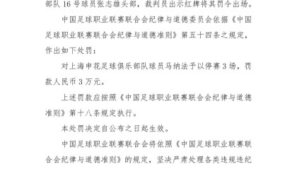 官方：申花外援马纳法因实施暴力行为，被停赛3场，罚款3万元