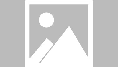 开云app-【夜读】为啥总拿刺刺开刀